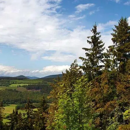 Weltringpark 2 Apartment Winterberg